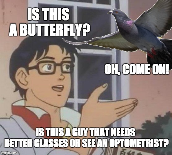 Anime character with glasses meme. Is This A Butterfly Imgflip