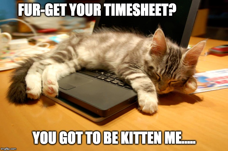 Here, the 30 best memes this valentine's day. timesheet meme Memes & GIFs - Imgflip