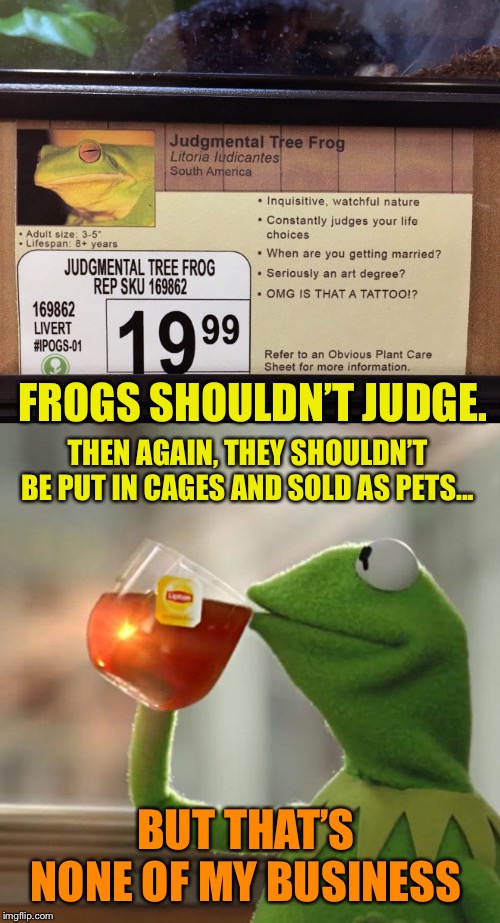 Make get nae nae'd frog memes or upload your own images to make custom memes. frog Memes & GIFs - Imgflip