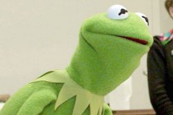 If you love netflix's tiger king this is the thing for you. "kermit" Meme Templates - Imgflip