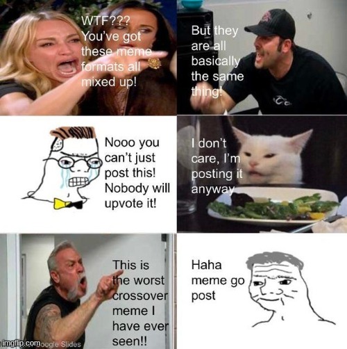 Angry Woman And Cat Meme Generator wallpaperdownload