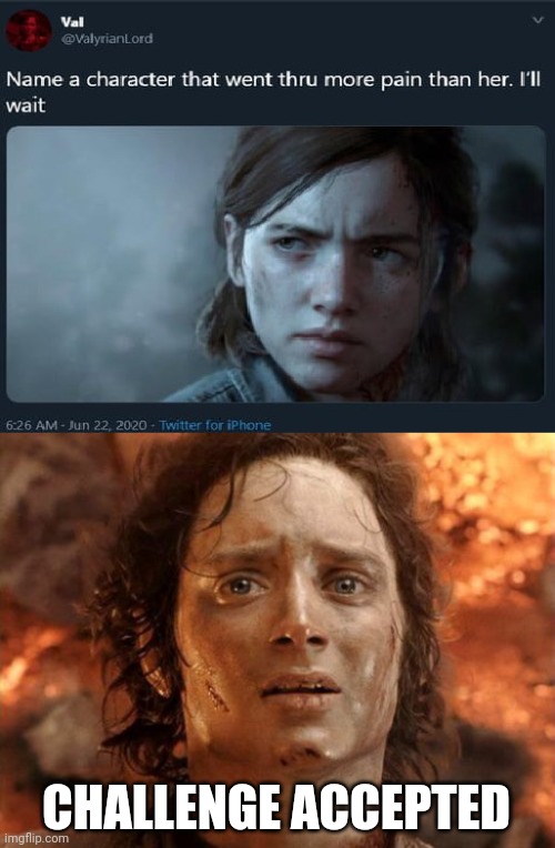 But what did they ultimately gain from all the internet hoopla? Image tagged in memes,it's finally over,name a character,lord of the rings - Imgflip