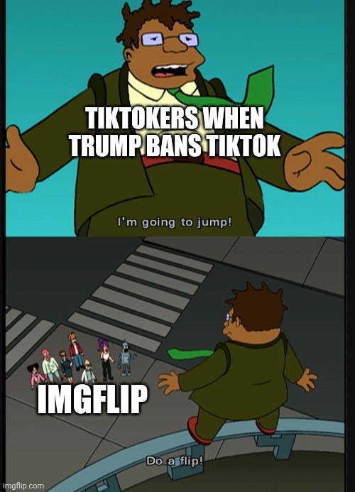 It's a free online image maker that lets you add custom resizable text, images, . Do A Flip Memes Imgflip