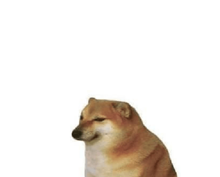 Dogs are some of the most beloved pets for us to have around. Only Small Dog Blank Template Imgflip