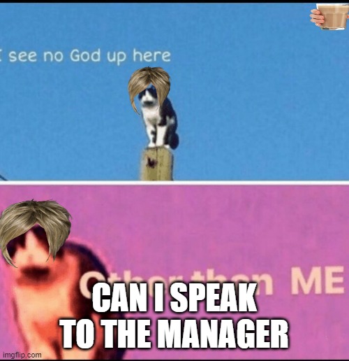 View 21 Cat Meme Template I See No God Up Here Other Than Me