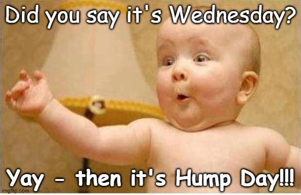 Fortunately, these 25 happy wednesday memes will brighten your day. Hump Day Imgflip