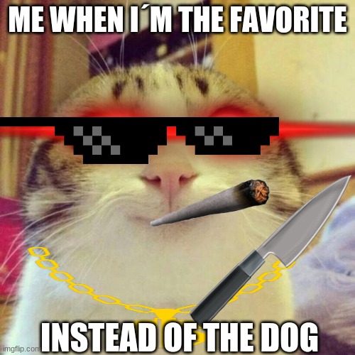 Cats are not only fur babie. Smiling Cat Meme Imgflip