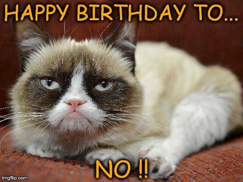 When adopting a new kitty, it can be a tad overwhelming to make sure you have every product you need to keep your new buddy happy. Happy Birthday To Grumpy Cat Imgflip