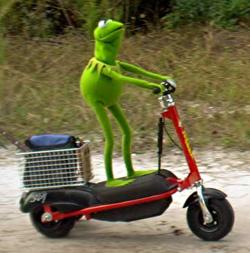 There are different regulations for scooters, mopeds and motorized bikes in ohio. Meme Template Search - Imgflip