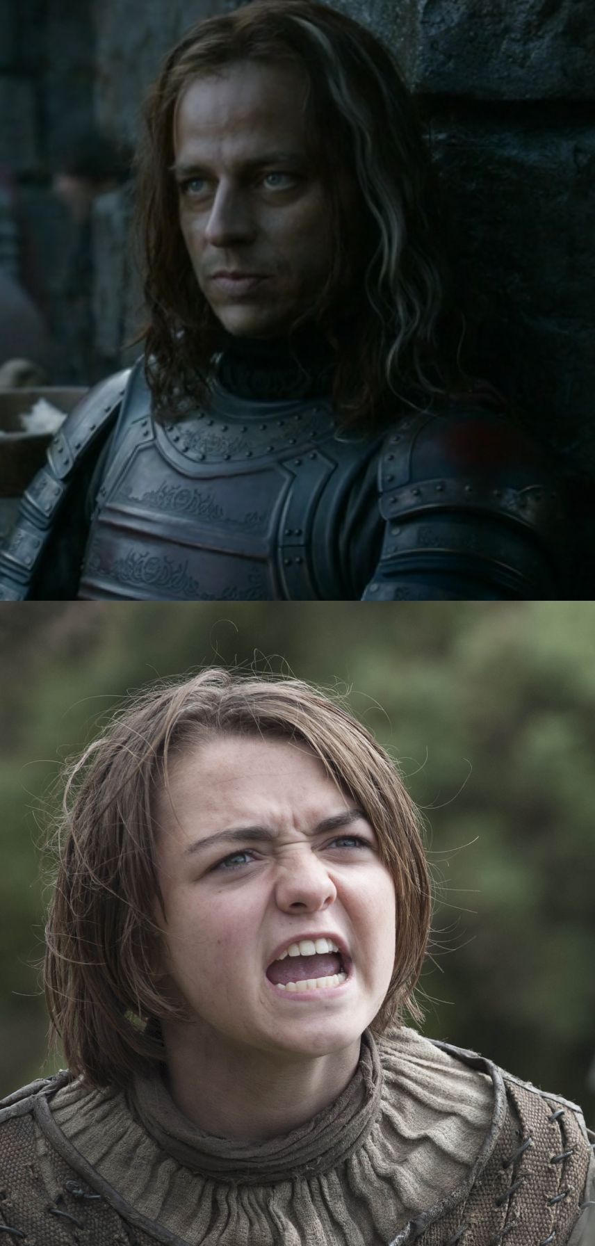 (v.) (1) to prepare a storage medium, usually a disk, for reading and writing. arya lotr Blank Template - Imgflip