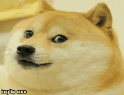 Interestingly enough, there are several reasons. Doge gif - Imgflip