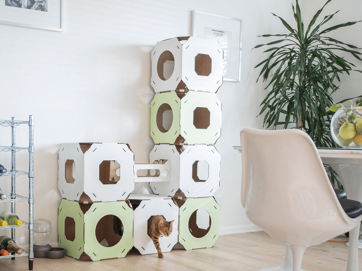 Photo Call sentral home for as long as you. 35 Weird But Useful Products We Bought Using Amazon Prime