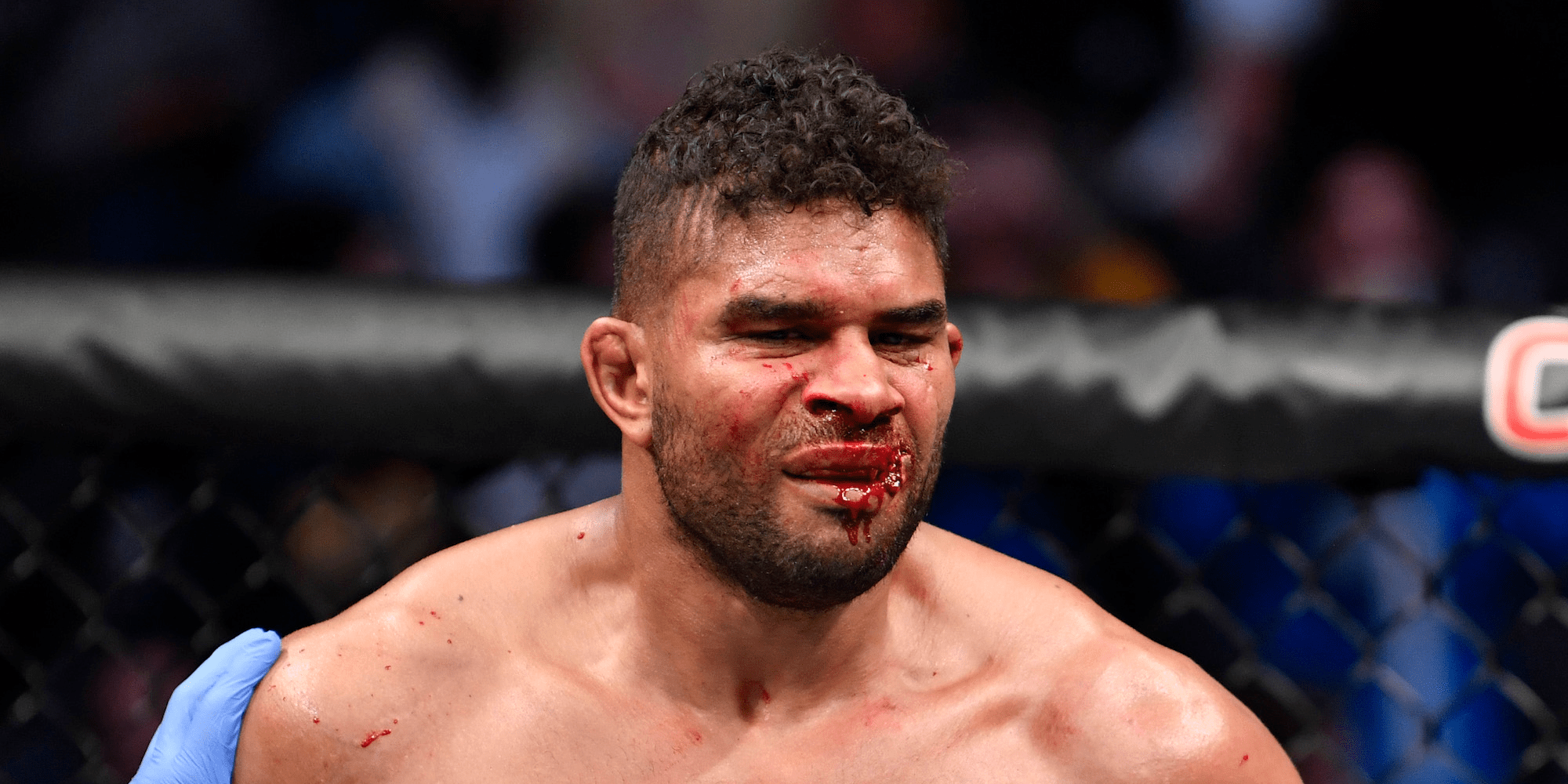 Alistair overeem fighter profile on bt sport. All About Alistair Overeem