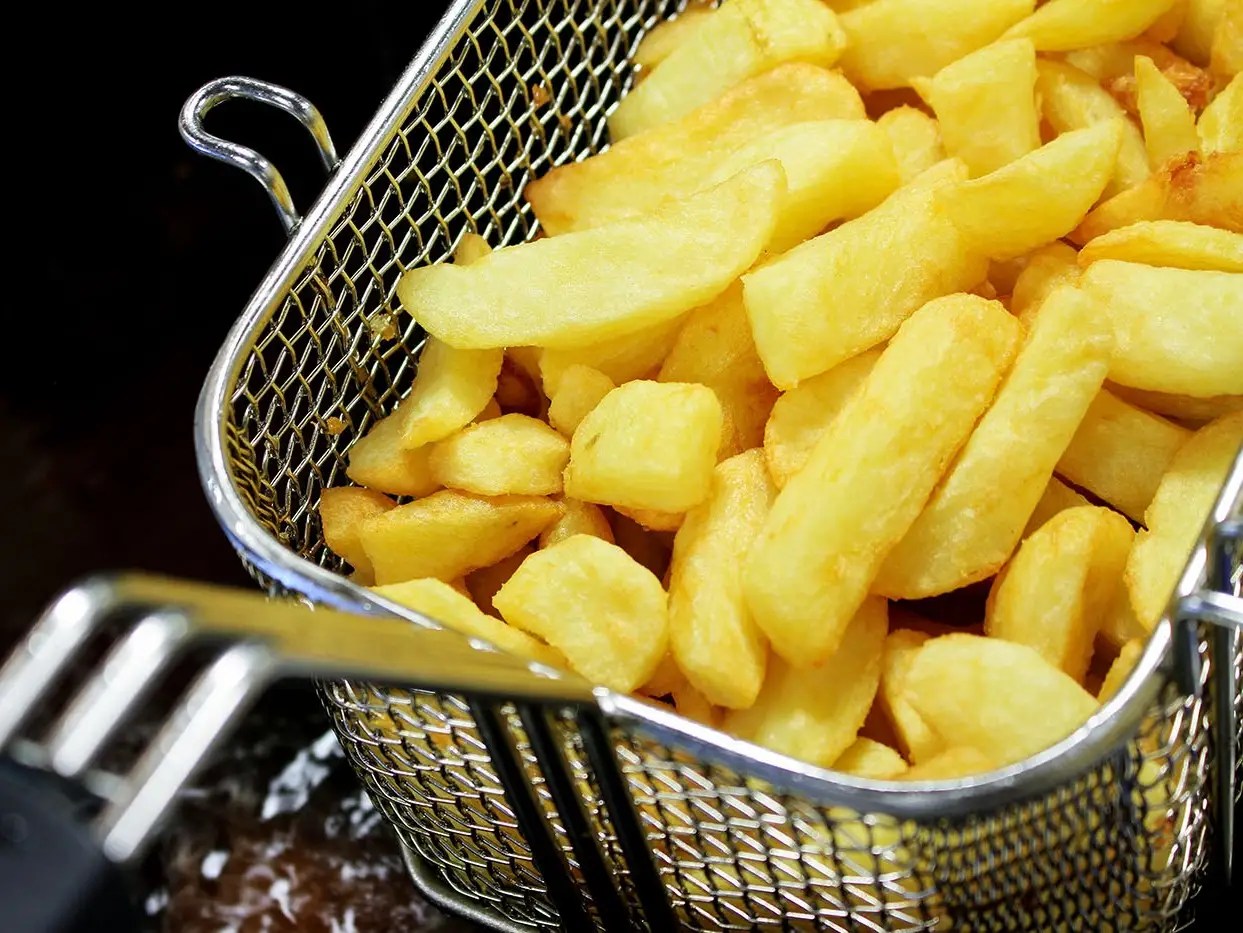 3 pan lpg mobile fish and chip van frying . 4 Best Deep Fryers In 2021