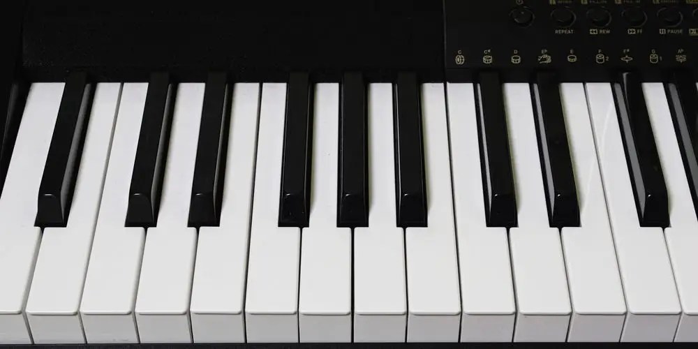 Chords for we've got tonight bob seger piano tutorial how to play.: Watch This Piano Playing Cat Duets With A Guitar Player On Tiktok