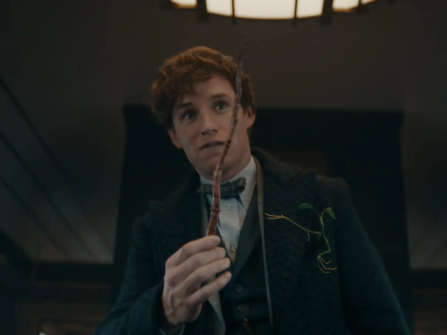 It has all eight movies and the two fantastic beasts prequels. Where To Watch Fantastic Beasts Movies Stream Online Now