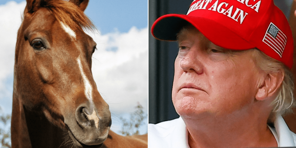 Trump Once Tried to Pay His Lawyer With a Horse: Book