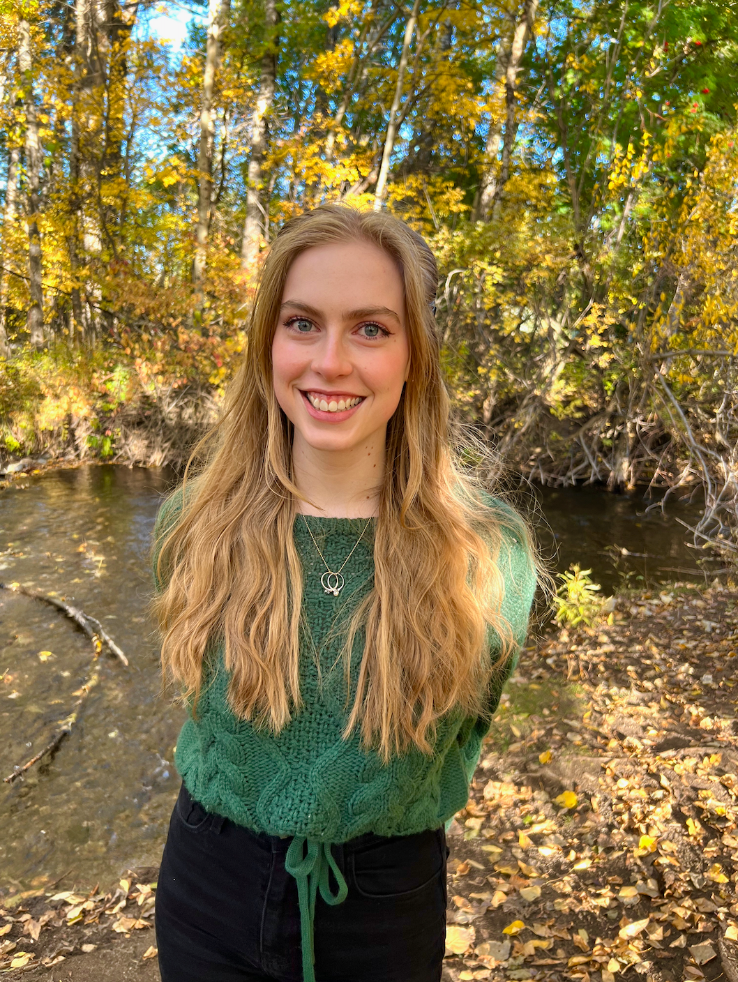 These dog dental chews and treats help clean teeth and prevent bad breath