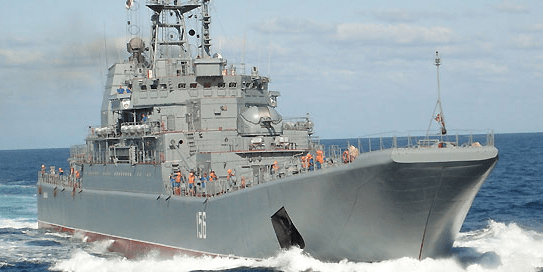 Kingdom, Adobe Express, and More!