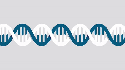 Ion Torrent Next Gen Sequencing Technology 1 On Make A Gif