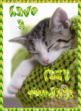 Emo gifs images and graphics. Have a Lazy Sunday! Cute kitten :: Sunday :: MyNiceProfile.com