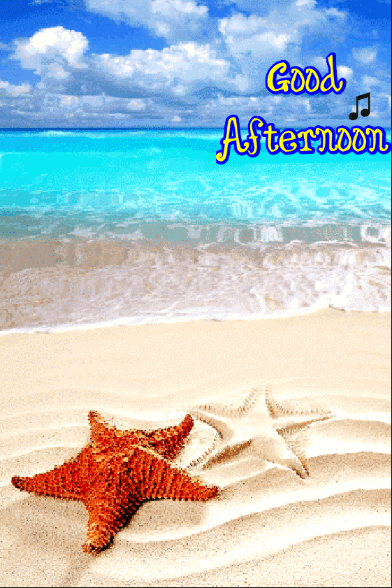 Jul 24, 2013 · in december 2012, the term doge appeared on reddit in a post submitted to /r/dogsiwannahug. Good Afternoon :: Hello! :: MyNiceProfile.com