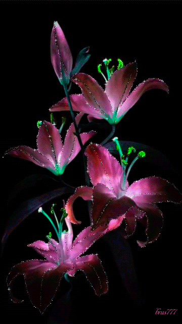 Valentine's day love is literally in the air. Purple Flowers :: Animated Pictures :: MyNiceProfile.com