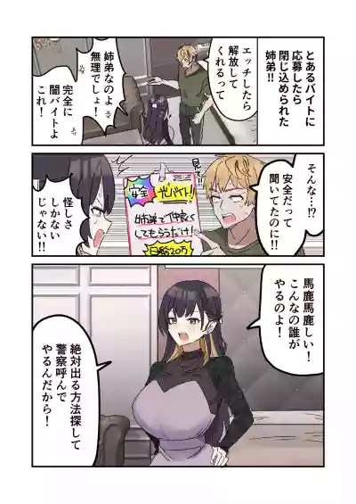 [Fence 14]Giji Sex Kyoudai Page 215