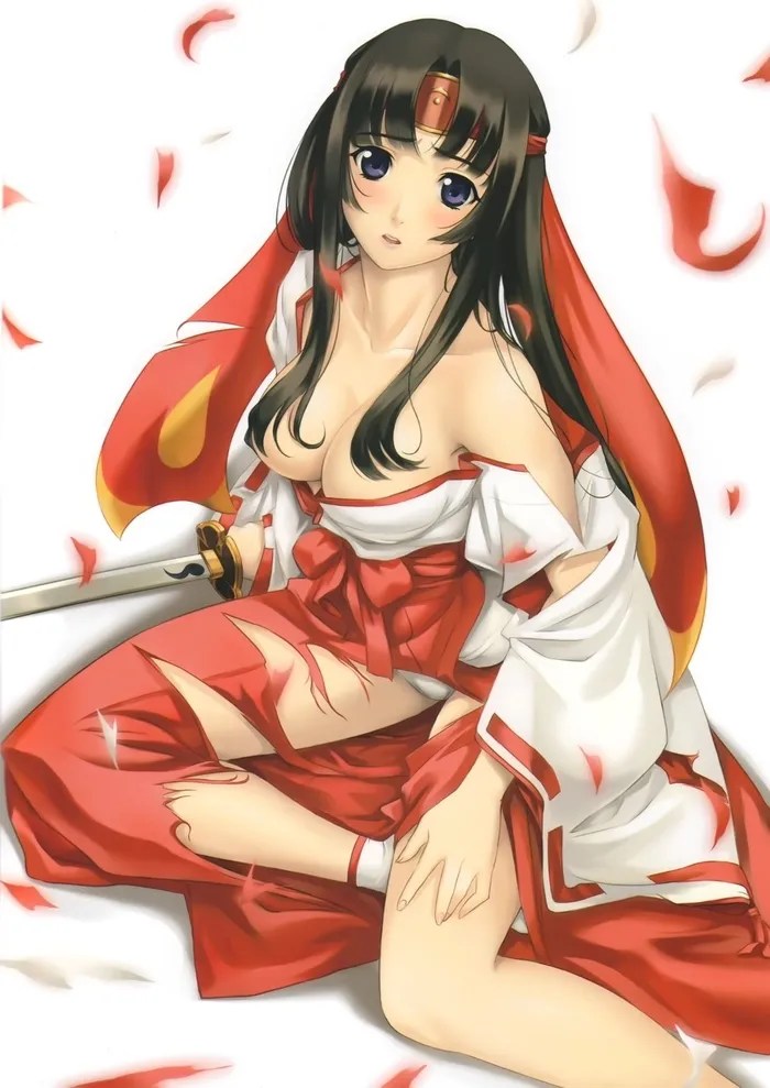 Queen's Blade Tomoe Collection Page 95