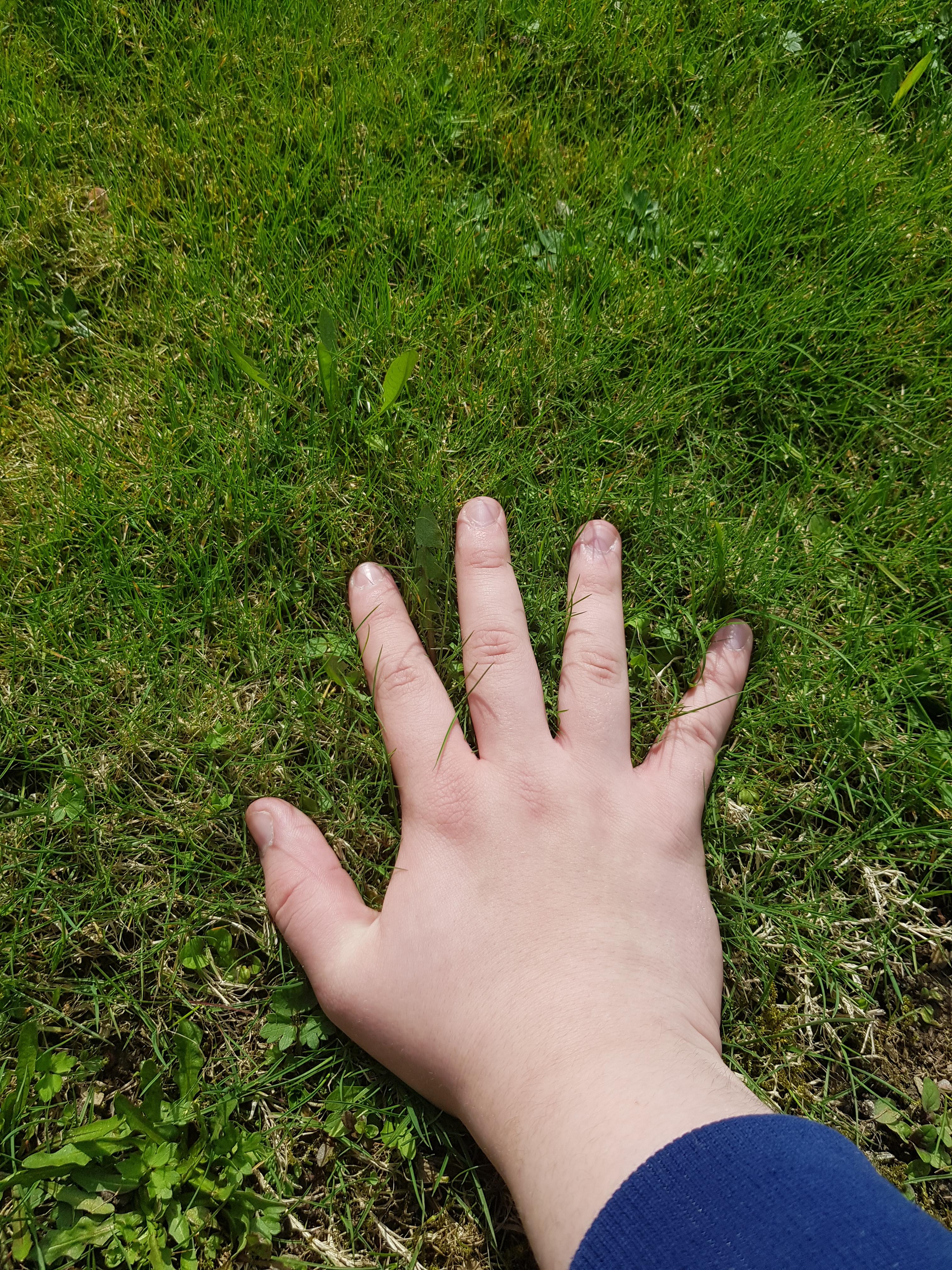 pix Go Touch Some Grass Meme reddit