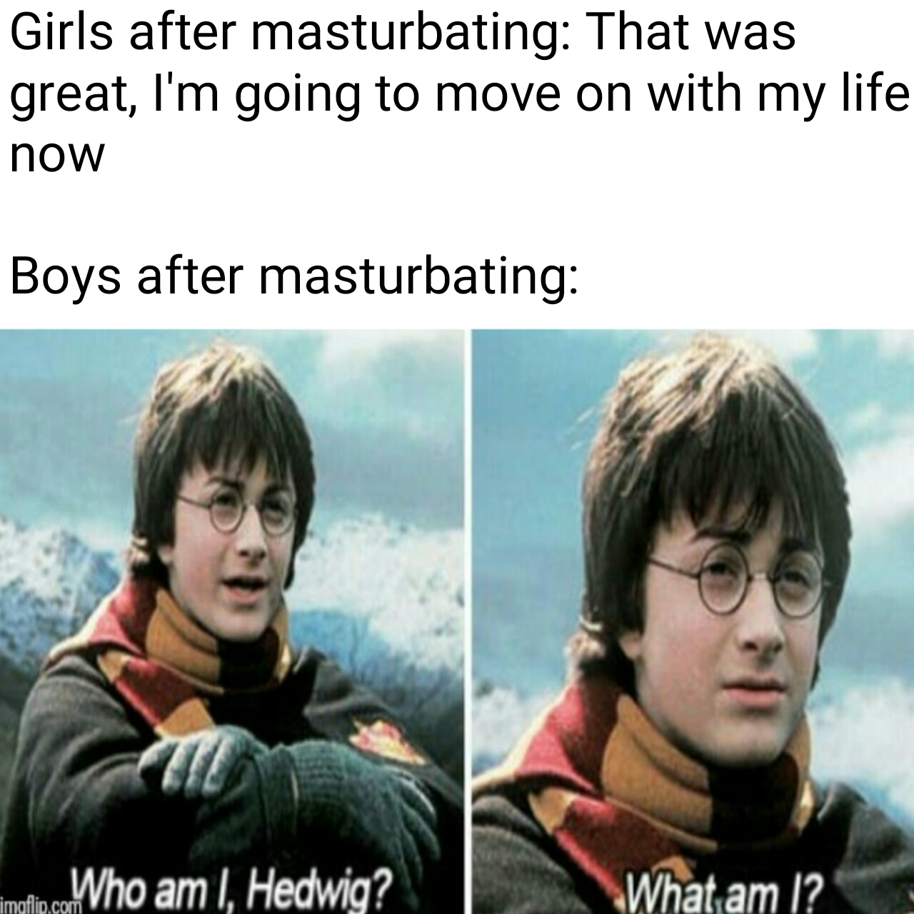 These writers did a wonderful job and some of them display tremendous talent. You're a wizard, Harry : memes