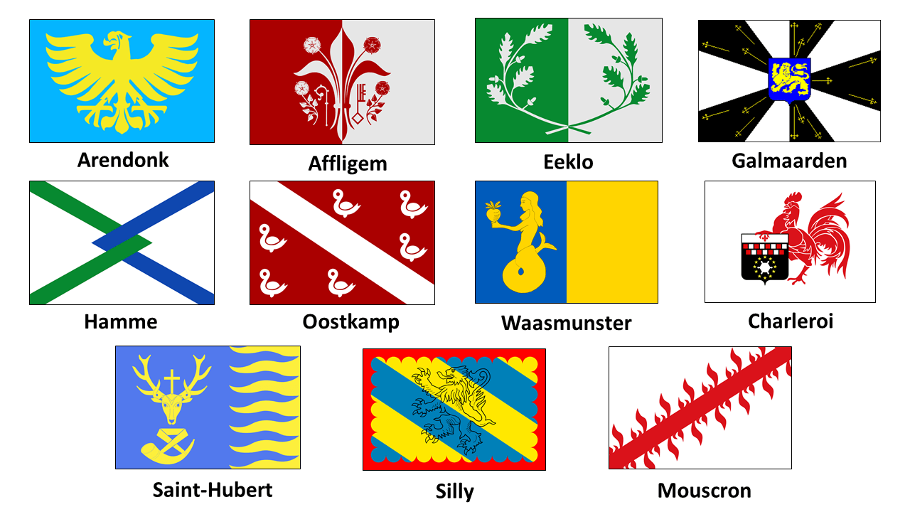 It S A Shame So Many Municipalities Have A Bad Logo Because Some Of Them Have A Really Cool Flag A Selection Belgium