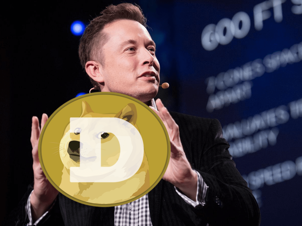 He's tweeting about dogecoin again, and doge is moving higher. Elon Musk x Dogecoin (not real) : dogecoin