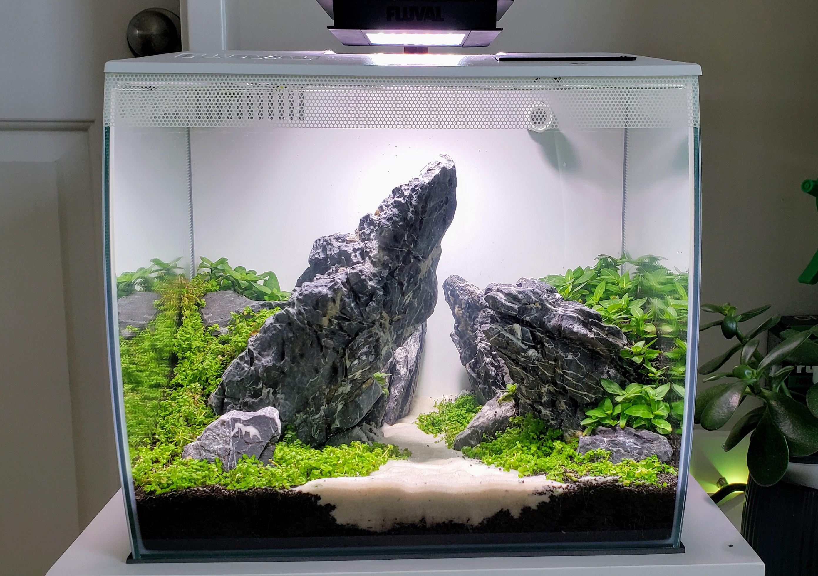 This is a time lapse of me aquascaping my new fluval spec v. Fluval Flex 9 : PlantedTank