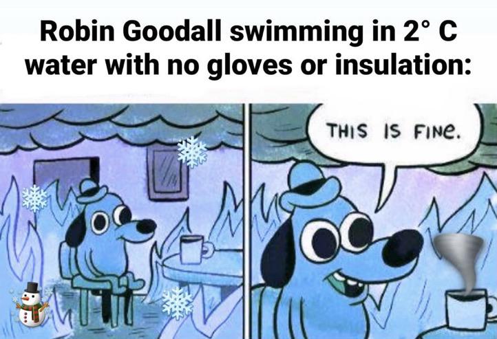 The sensation stimulated in the organs of hearing by such vibrations in the air or other medium. Teeth Chattering Intensifies No Spoilers R Subnautica