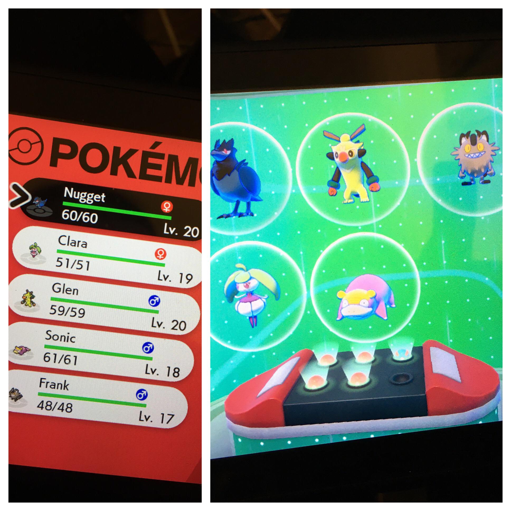 Galarian darmanitan, base stats total: Started A Pokemon Sword No Items Run Here Is My Team After Defeating The First Gym Leader Nuzlocke