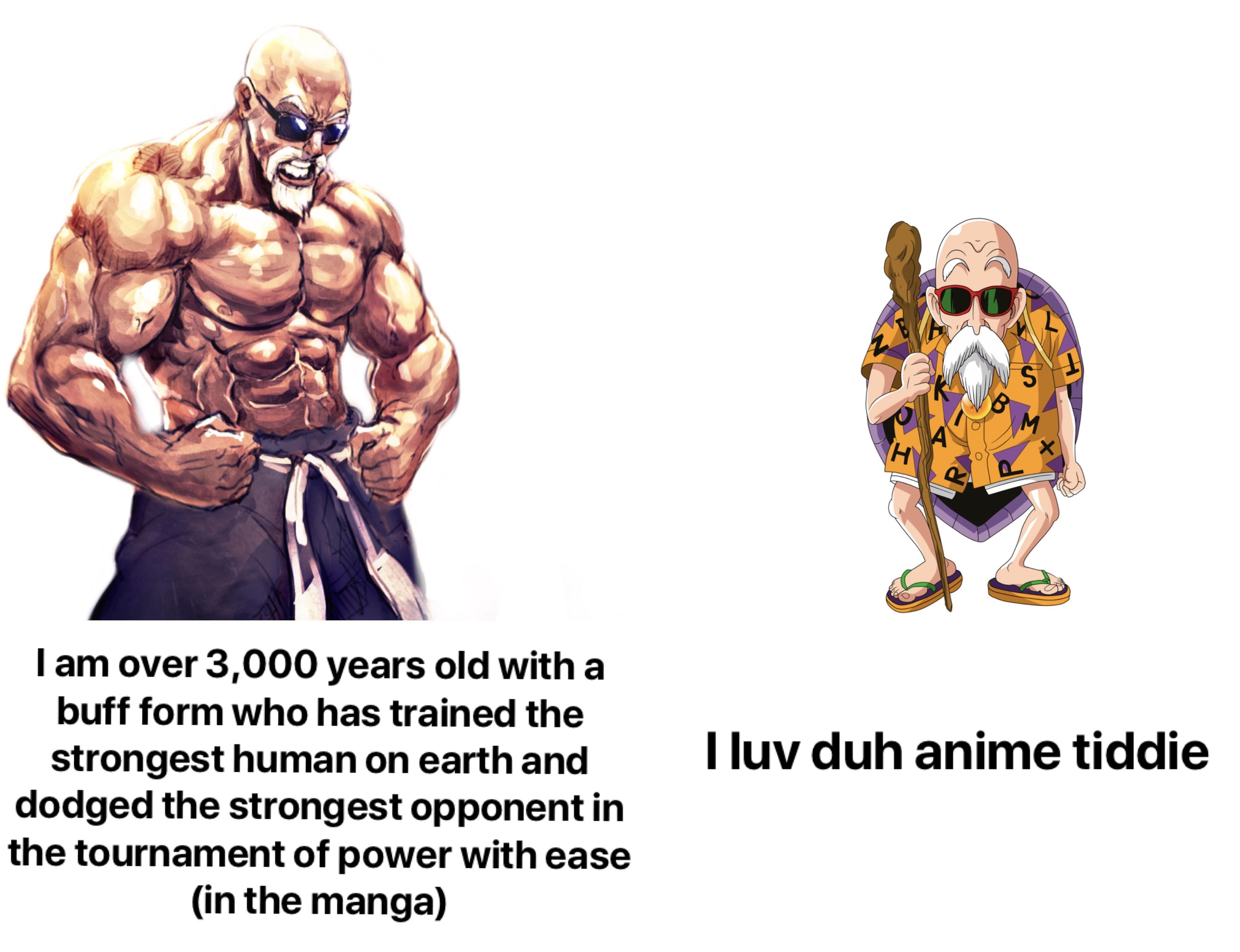 Master Roshi Perfection Animemes