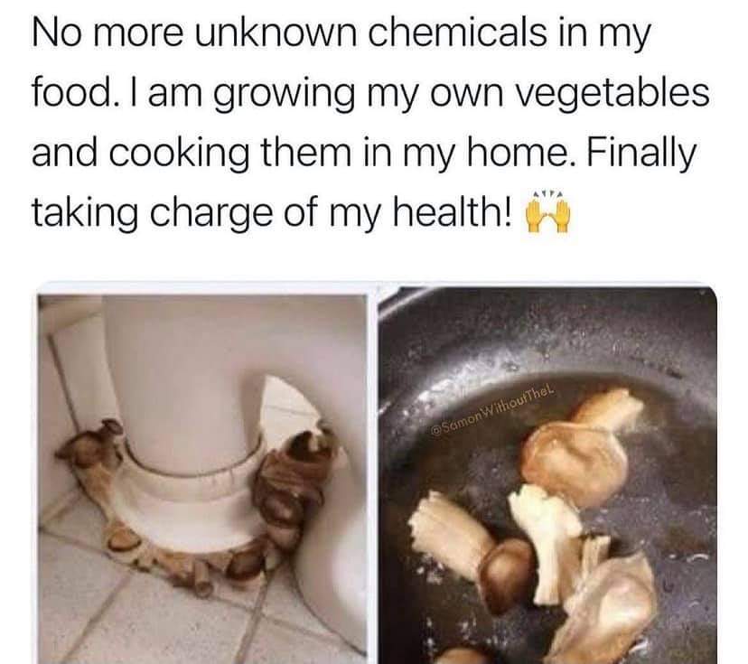 Funny clean memes 2021 1. Eating Clean For 2021 R Memes