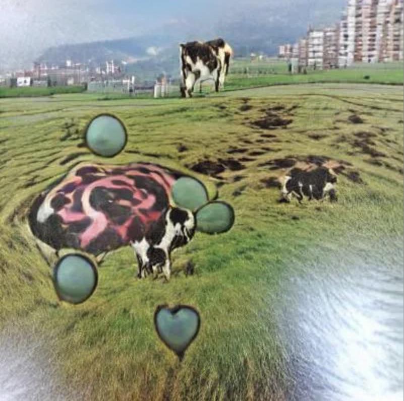 Atom Heart Mother Cover By Ai R Pinkfloyd