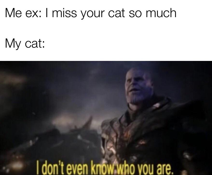 The problem with licensed games:. She Won T Leave Me Alone R Memes