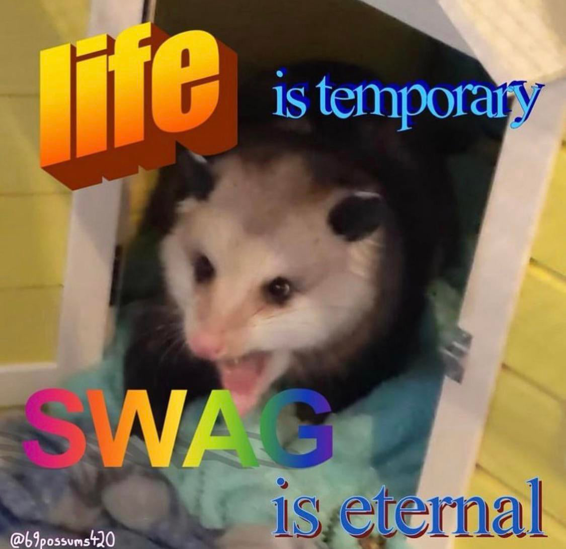 Whether you love it or hate it, there's all sorts of humor to be found in it. Memes About Possums