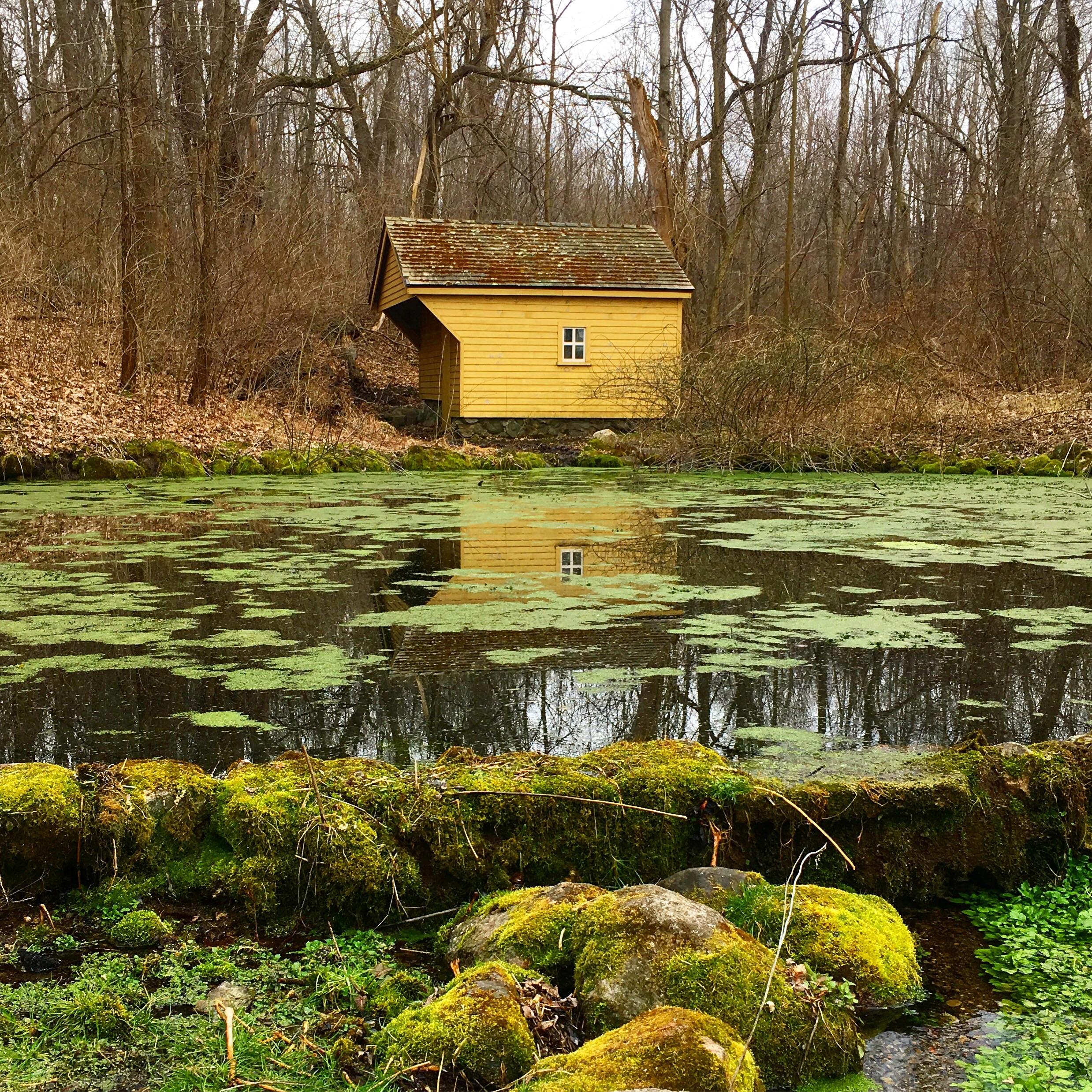 Family cabins · camping fees: Spring House at Potato Creek State Park in Indiana : hiking