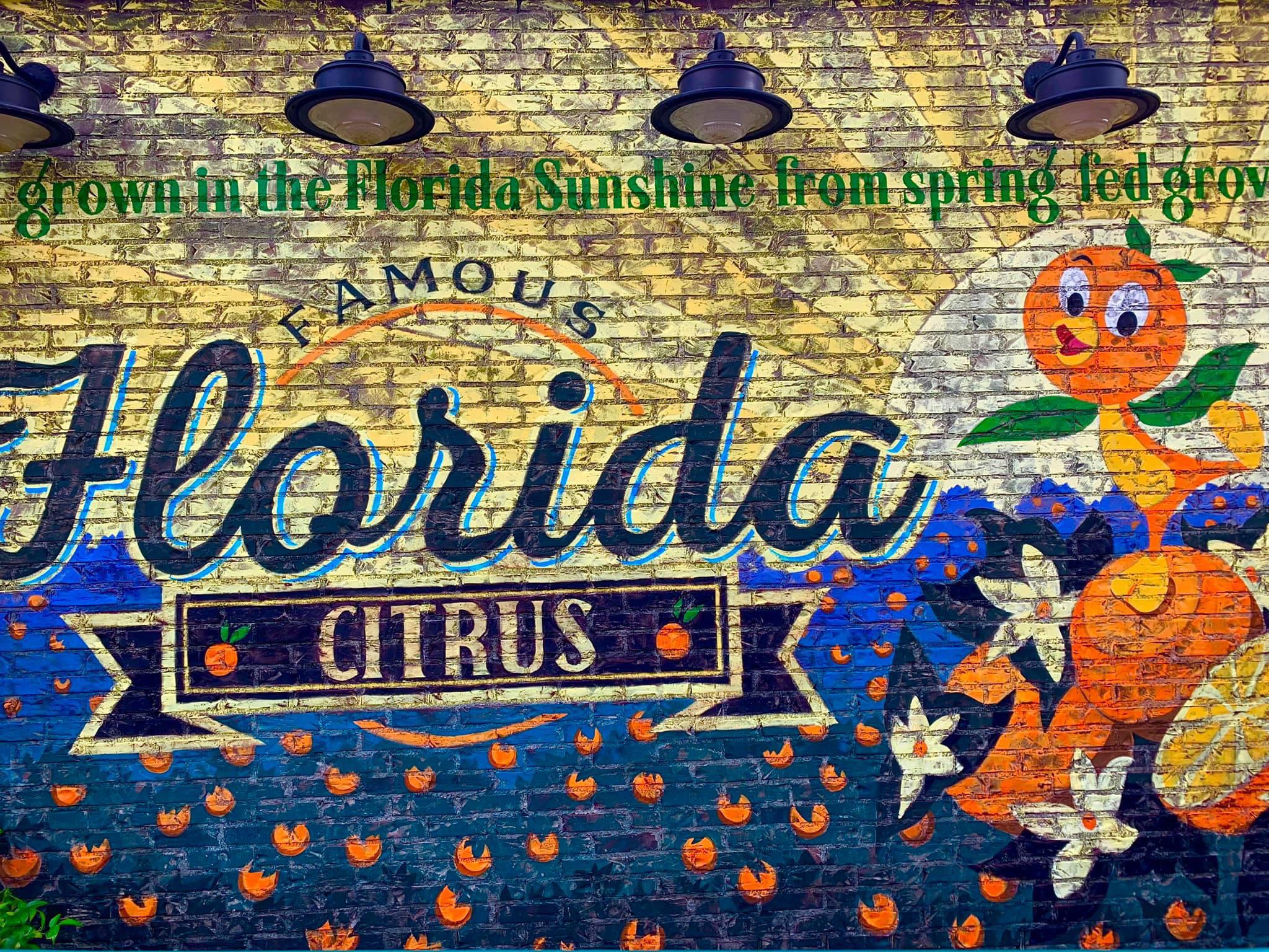Attract beautiful birds to your yard with this simple and practical bird feeder. New Orange Bird Instagram Wall At Disney Springs Oc R Waltdisneyworld