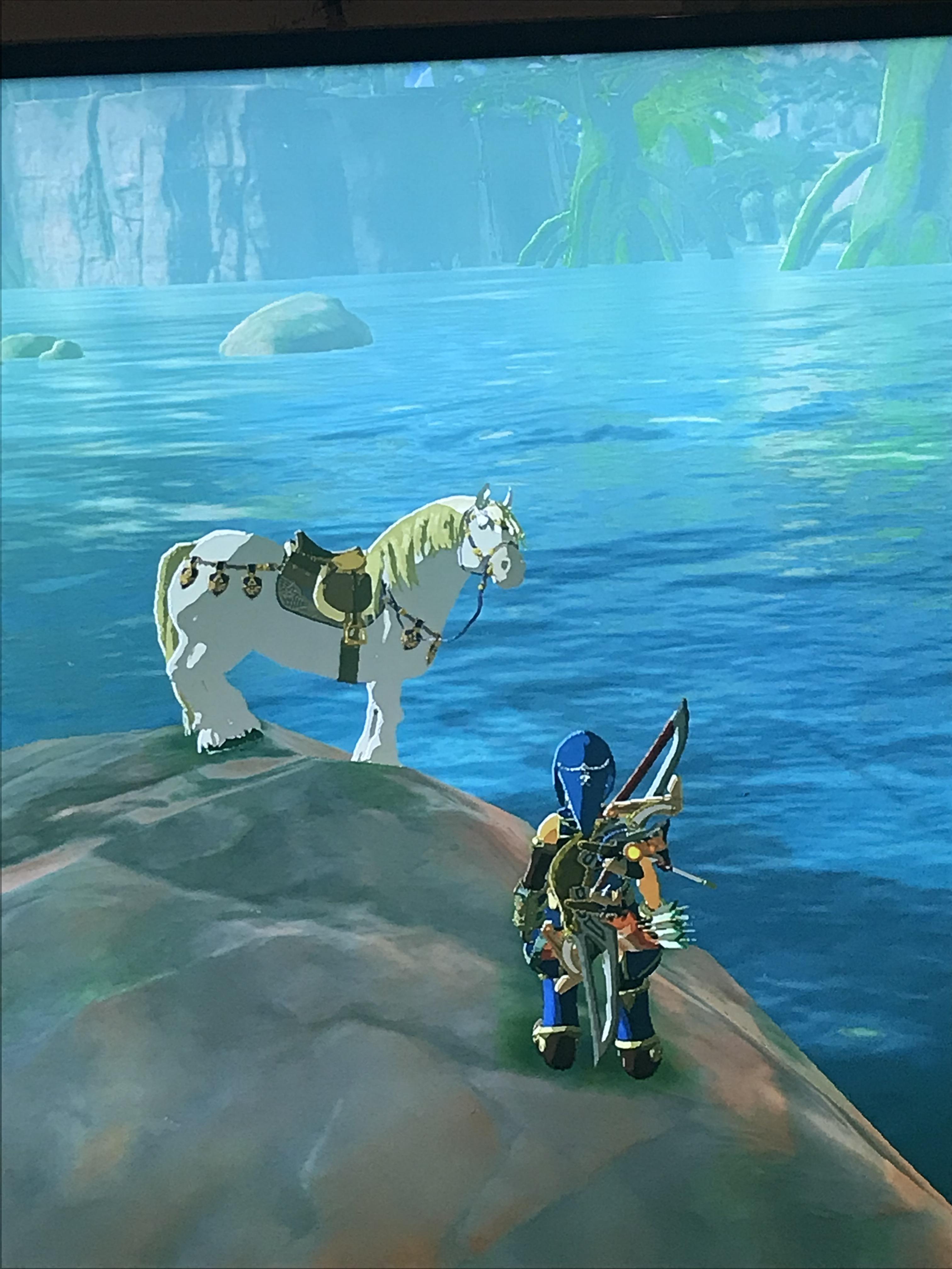 All things the legend of zelda: So I went to shoot farosh to get a scale and when I turn