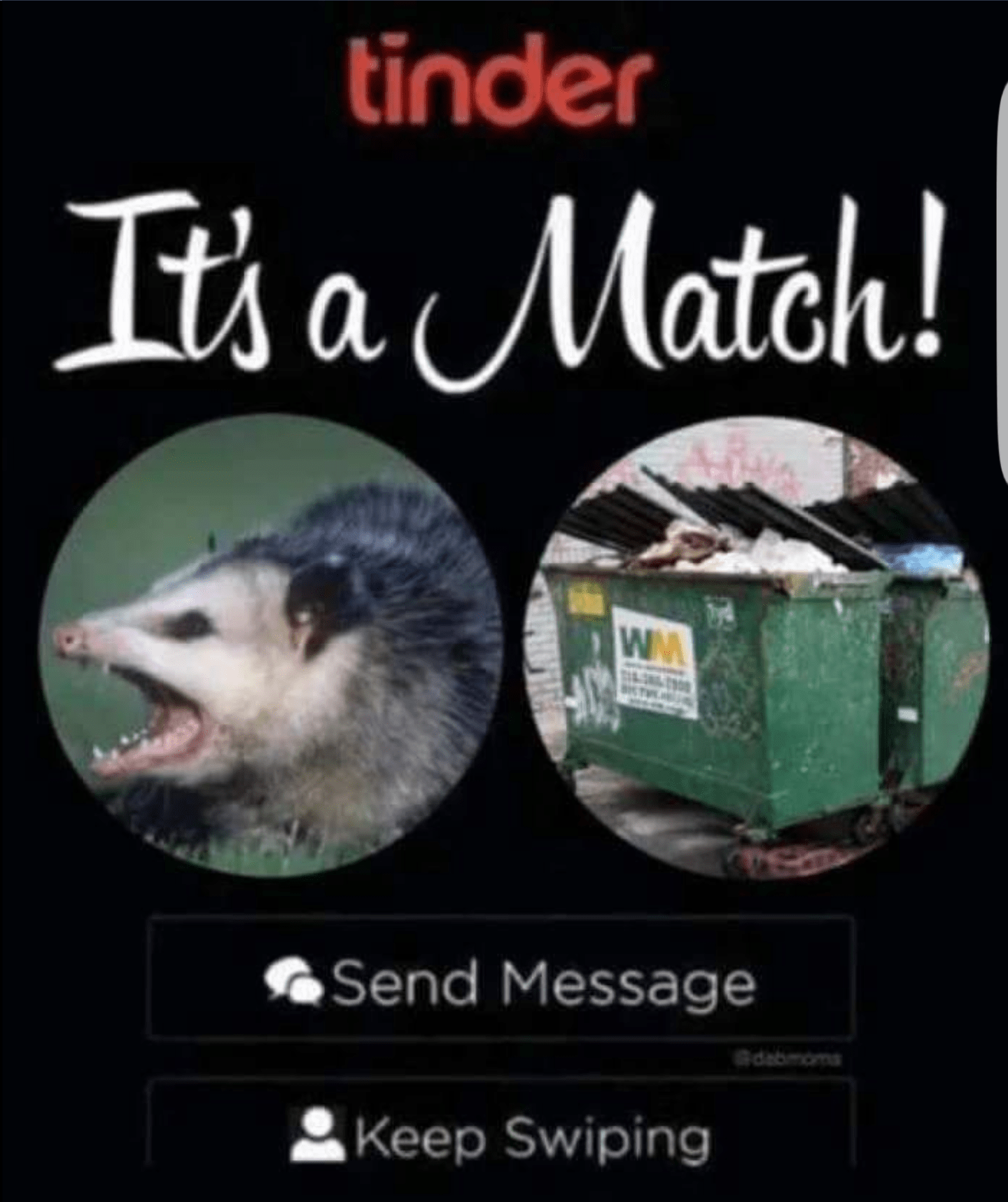 It’s safe to say that memes have taken over the internet, and they continue to evolv. One Possum S Trash Is That Same Possum S Treasure R Memes