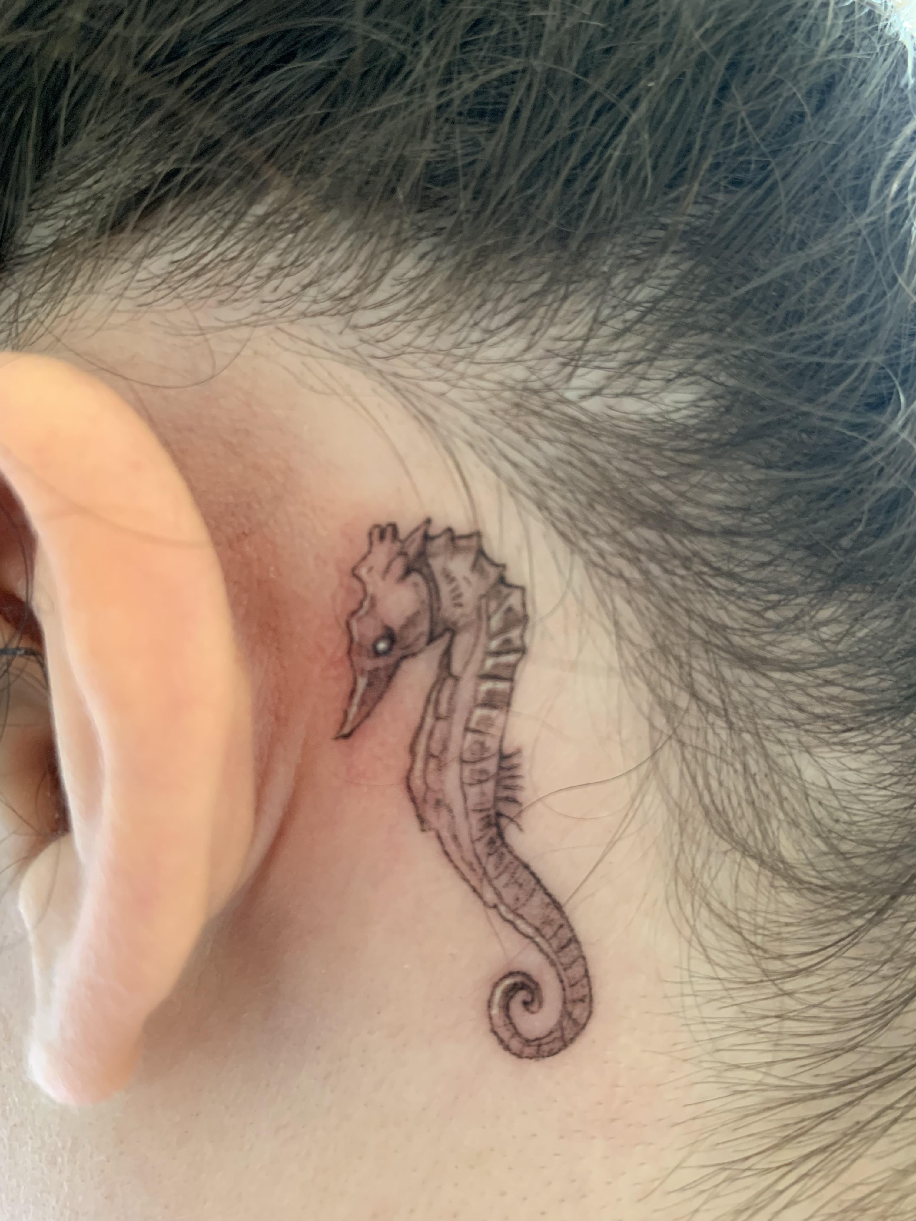A Little Late... But I Finally Got A Seahorse Tattoo To Commemorate The Story Of Planaxis! Best 3 Days Of My Life! Thought You All Would Enjoy :) : R/Tomorrowland 4032_x_3024_jpg