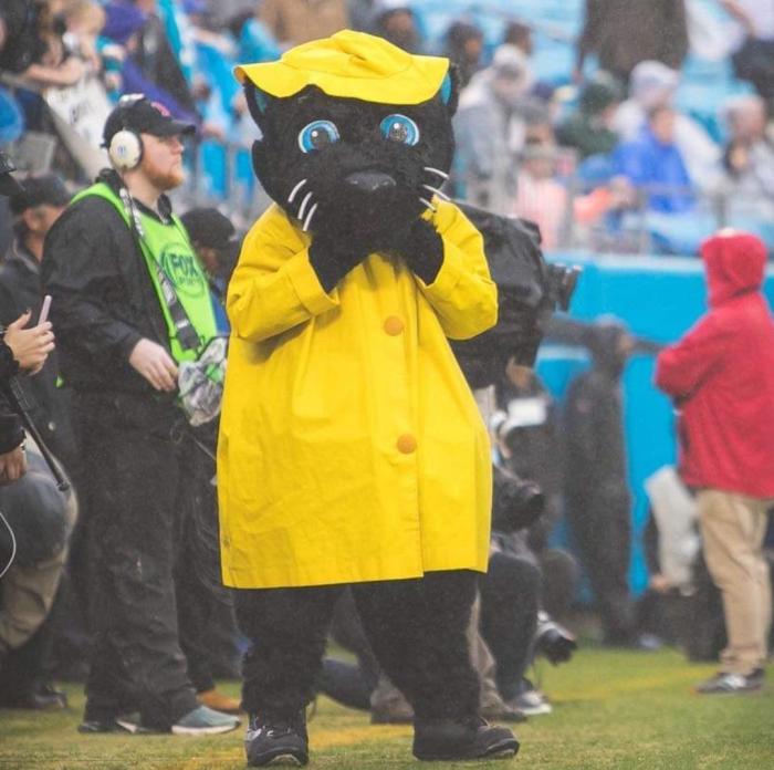 What Meow Might Mean NYT Crossword Clue