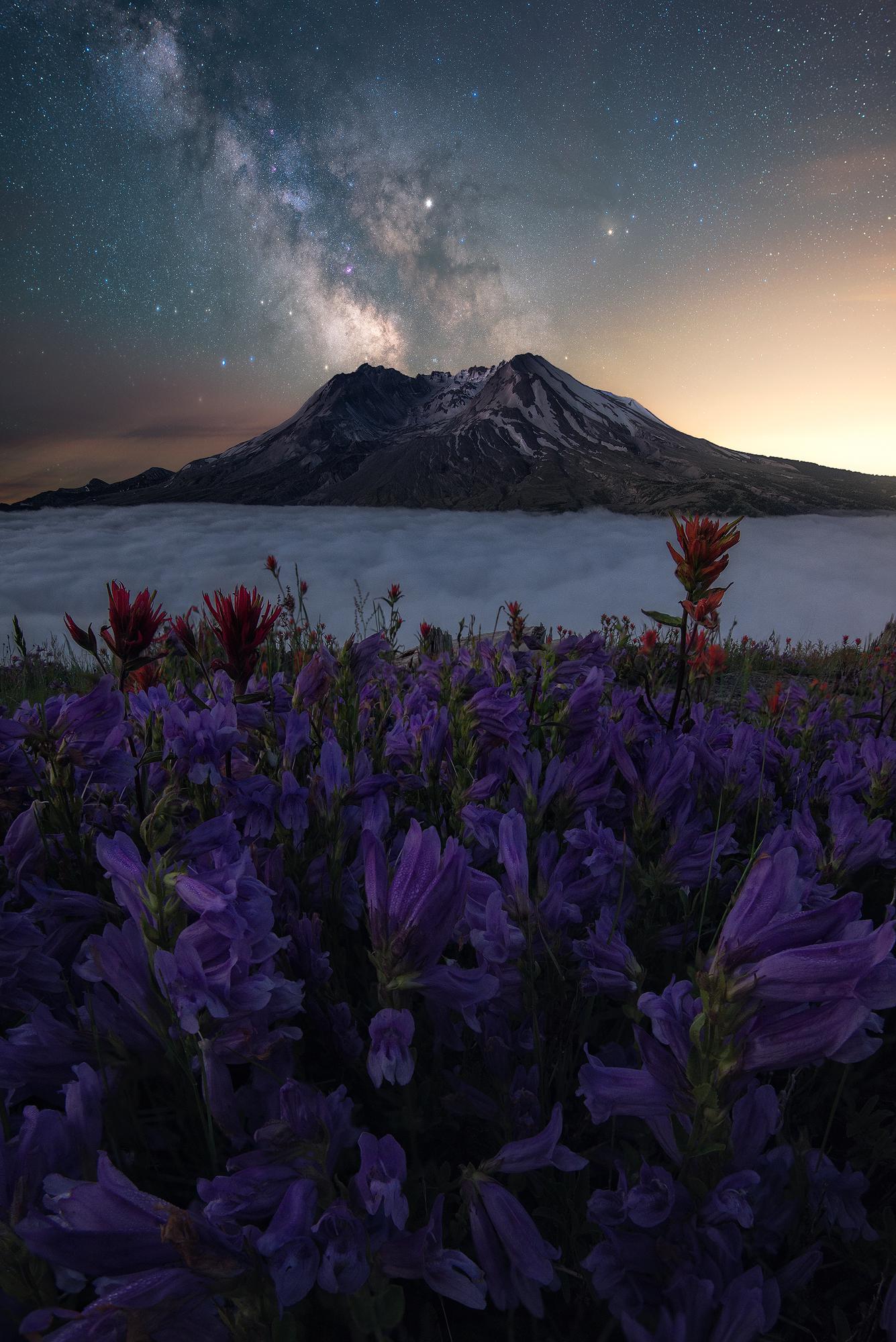 Helens volcano erupted in 1980 and again in 2004, causing great destruction. Mt St Helens Under A Clear Night Sky Oc 1335x2000 Rosssvhphoto R Verticalwallpapers