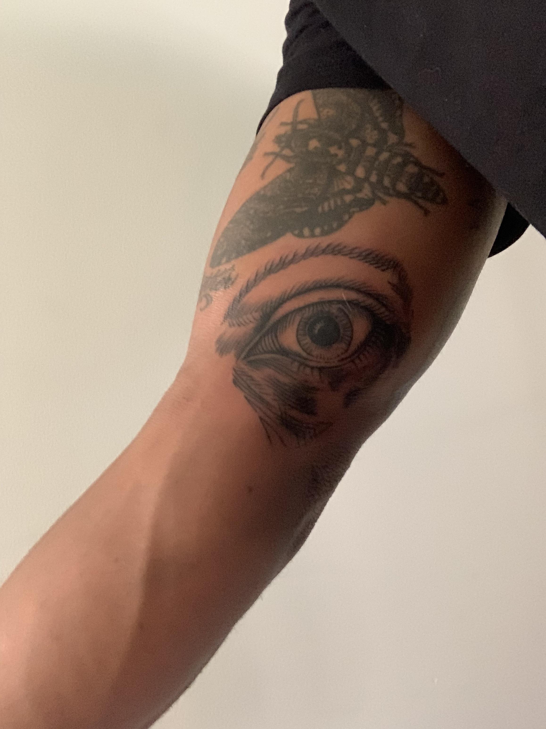 New Patch To The Sleeve And Blindfolded Horse By Natia Olson At Gristle Tattoo Brooklyn, Ny : R/Tattoos 3088_x_2316_jpg