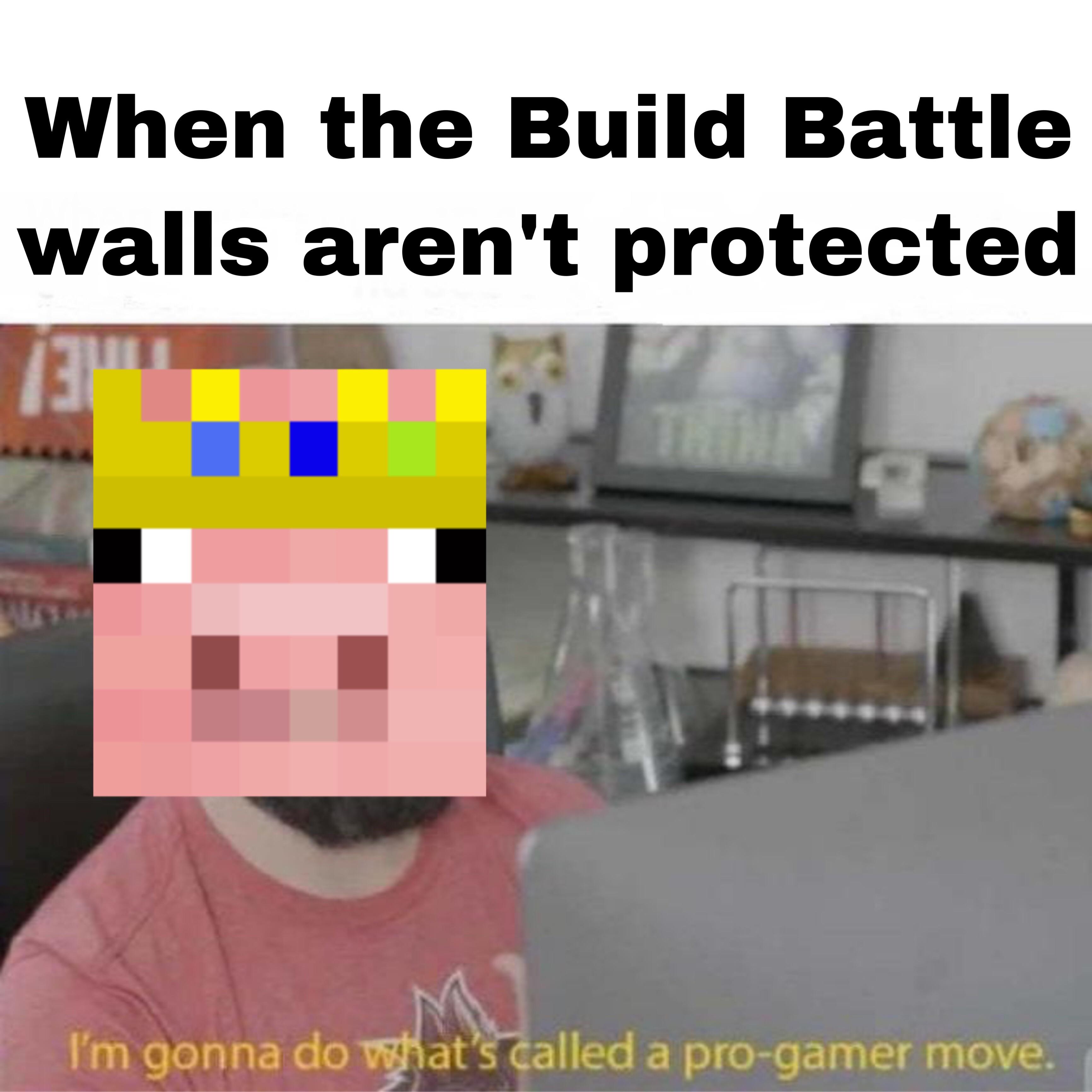 Technoblade Memes Reddit - Wither Time Technoblade